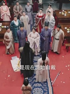 《短剧 凤凰鸣天》65集热门短剧立即播放