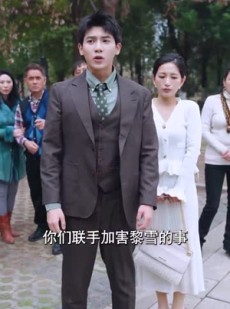 《短剧 无形之刃》37集全集高清在线观看