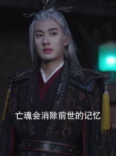《短剧 绝巅》97集精彩剧情在线追