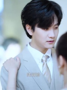 《短剧 前妻归来陆总逼婚99次》50集全集短剧立即播放