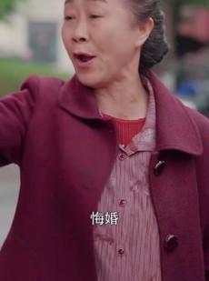 《短剧 高门难再攀》50集全集免费观看流畅不卡顿