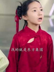 《短剧 萌宝总动员》77集全集高清在线观看