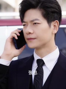 《短剧 慈母泪儿怒火》50集完整剧情在线欣赏