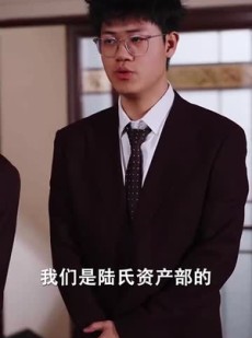 《短剧 儿媳惊艳全场》55集高清短剧即刻观赏
