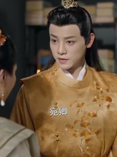 《短剧 东宫传》56集一键解锁全集剧情
