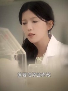 《短剧 被赶出家门后山海不相逢》70集全集免费观看高清流畅