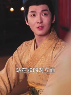 《短剧 王朝重工》120集高清短剧在线追