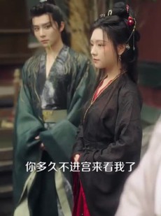 《短剧 宁宴长欢》86集手机网页随时看