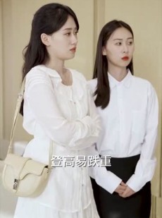 《短剧 互换人生总裁也要来打工》100集高清流畅短剧解锁