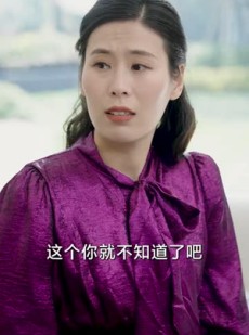 《短剧 女婿能顶半个儿》29集高清短剧即刻观看