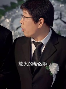 《短剧 火烧至叶落》32集一键解锁全集剧情