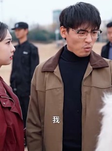 《短剧 光刻风云》40集全集剧情在线畅看