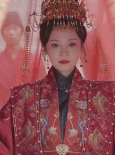 《短剧 登云天》78集全集短剧畅快观看