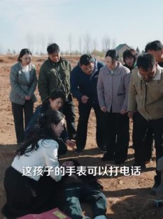 《短剧 蛇年大吉之回家幸福路》36集温情回家路全集畅享