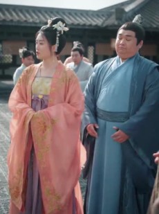 《短剧 我的姐姐是将军》80集高清短剧随心看