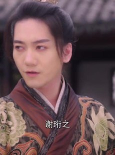 《短剧 厂公的心尖宠》81集热门短剧随心观