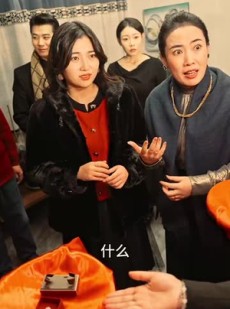 《短剧 龙婿归来》27集全集短剧畅享不停