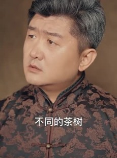 《短剧 我在民国当祖宗》91集全集免费观看流畅不卡顿