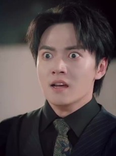 《短剧 方秘书听不懂人话》77集高清短剧在线观看