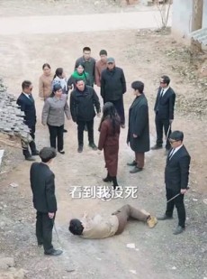 《短剧 新春笑怒归》32集高清短剧在线畅看