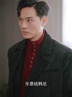 《短剧 不做码农后红玫瑰她后悔了》60集精彩短剧畅享全集