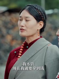 《短剧 高原逐爱行》43集流畅播放不容错过
