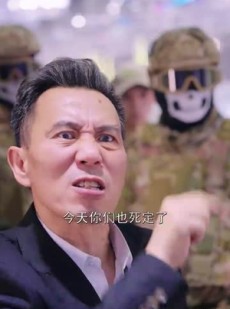 《短剧 亮剑之龙帅归来》75集全集免费网页播放