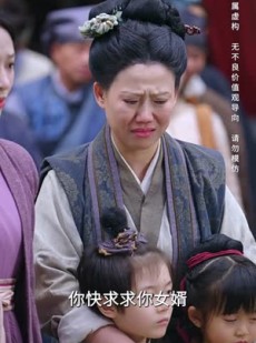 《短剧 人间更胜九重天》65集热门短剧全集放送