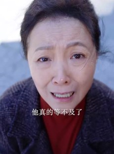 《短剧 现在开庭》33集法庭风云短剧在线播放