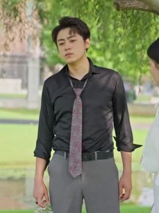 《短剧 藏龙》74集全集免费在线观看