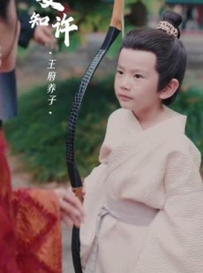 《短剧 轮回》100集全集短剧畅享不停