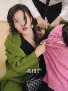 《短剧 总裁，那对双胞胎好像你》96集全集高清在线观看