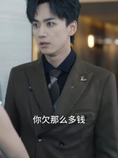 《短剧 勤俭持家爱上你》69集网页直播同步观看