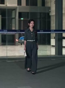 《短剧 你一个企业家，亲自给顾客开车门》100集全集在线流畅观看
