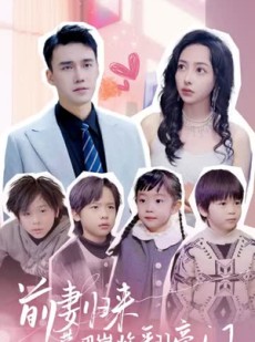 《短剧 五年后她带四宝惊艳全球》90集全集免费观看高清流畅