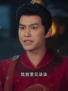 《短剧 梨花无意伴春寒》63集全集短剧随时享