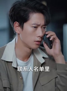 《短剧 不在灯火阑珊处》74集全网首播在线观看