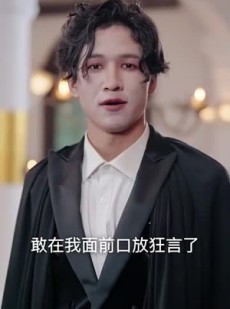 《短剧 赊刀人》88集一键直达观看无广告