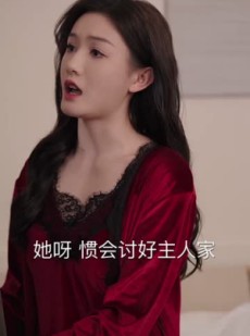 《短剧 尔尔辞晚朝朝辞暮》54集热门短剧全集无广告观看