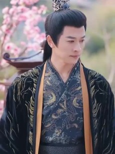 《短剧 医女成凰》80集短剧全集限时开放观看