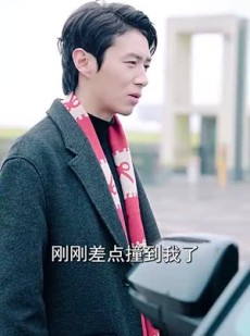 《短剧 龙年大吉之衣锦还乡》89集热门短剧全集呈现