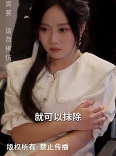 《短剧 从此风雨不同舟》53集高清流畅短剧随心享