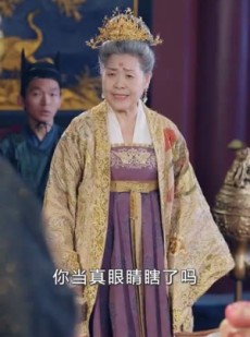 《短剧 鬓从今夜白》71集高清短剧尽情浏览