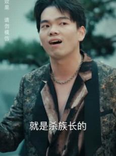 《短剧 金蛇狂舞之天下无贼》52集独家短剧平台首播