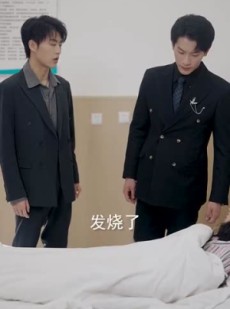《短剧 雾港缠绵》100集流畅播放不卡顿