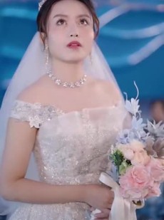《短剧 结婚一百零一次》101集全集高清在线观看
