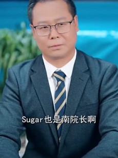 《短剧 封总，太太的离婚生效了》82集高清短剧畅享不停