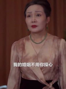 《短剧 陆夫人，二胎了解一下》83集高清短剧任你点