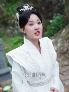 《短剧 凤凰于飞》79集一键解锁全集剧情观看
