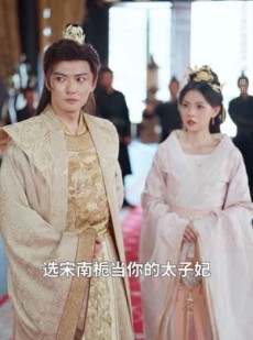 《短剧 涅槃成凤》60集流畅播放精彩不停